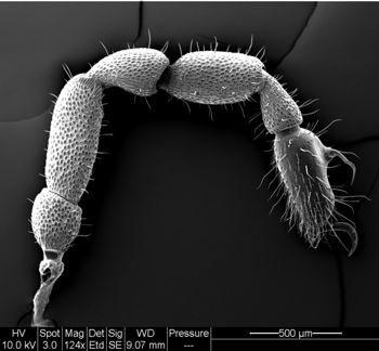 Media type: image;   Invertebrate Zoology 134641